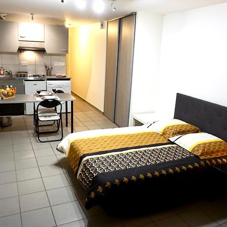 Charmant Studio Centre Ville Le Puy-en-Velay Ngoại thất bức ảnh