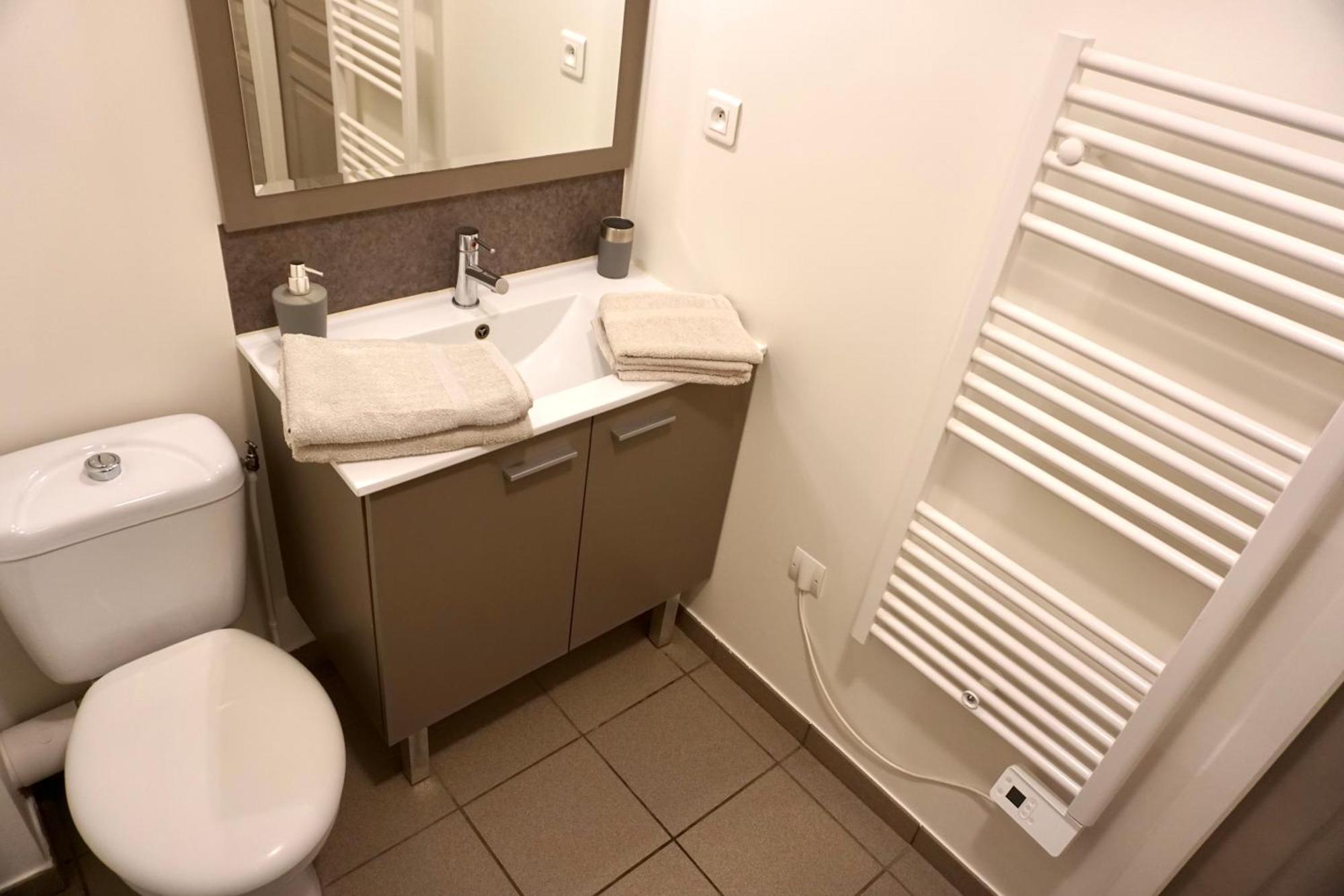 Charmant Studio Centre Ville Le Puy-en-Velay Ngoại thất bức ảnh